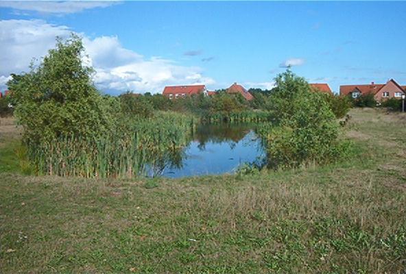 Ferienwohnungen Manfred Peters Baven Херманнсбург Экстерьер фото